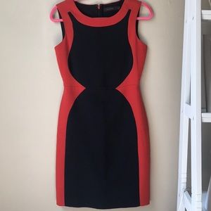 MOVING SALE!!! LIMITED colorblock sheath dress